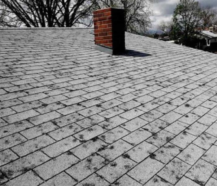 Hail Damage to Roof